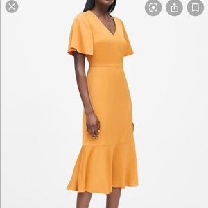 Banana Republic Midi Flutter Sleeve Dress 10 NWT